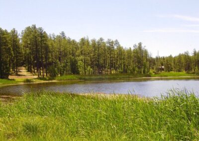 Woodland Lake Park